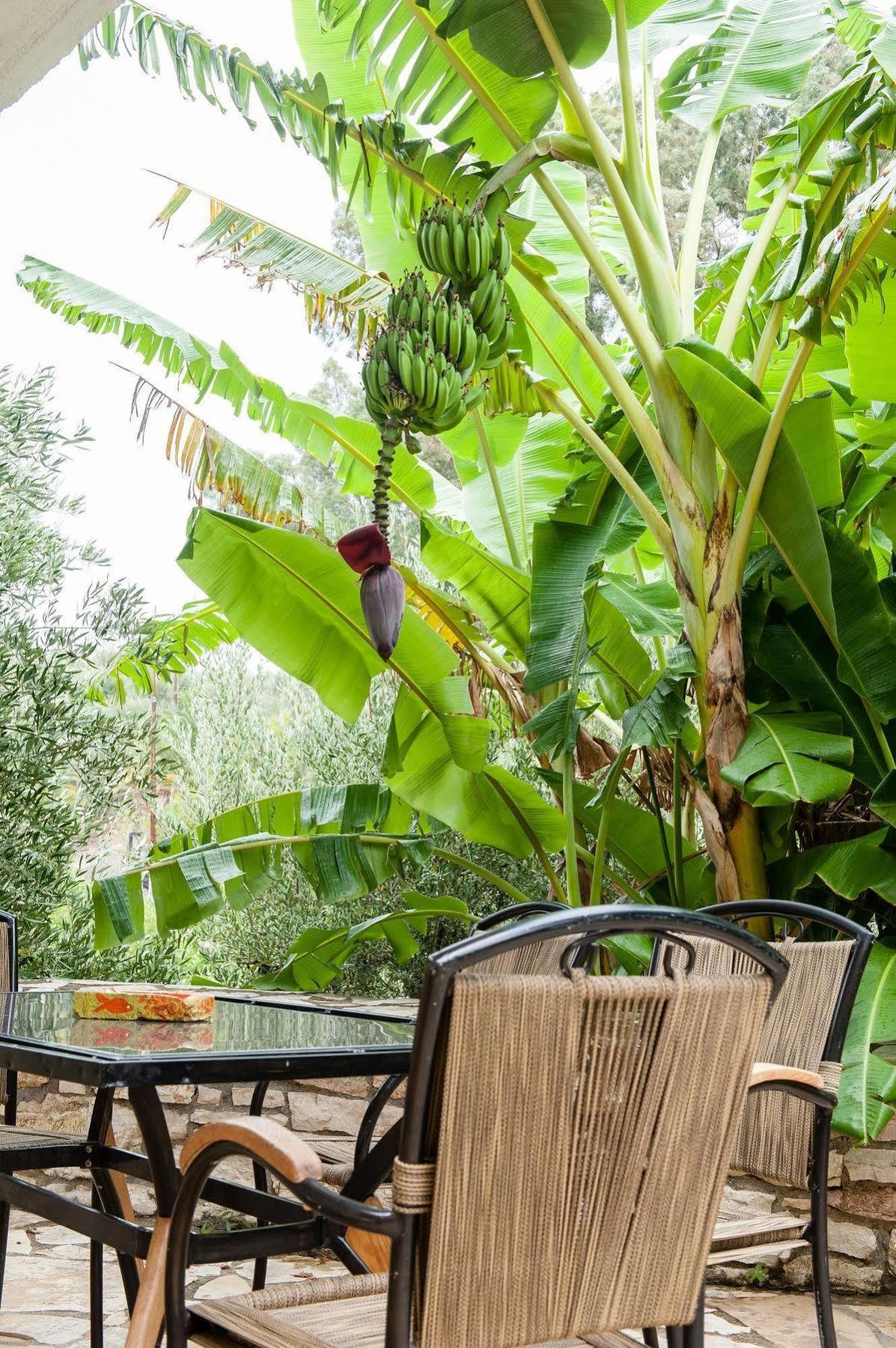 Koroni Village Ngoại thất bức ảnh